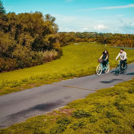 Kicsi Golya 2 * Tiszafüred