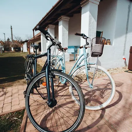 Apartment Kicsi Golya 2