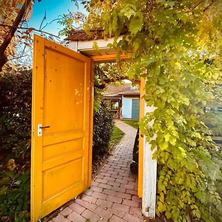 Kicsi Golya 2 Apartment