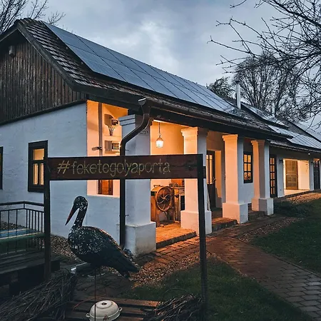 Apartment Kicsi Golya 2 *