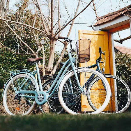 Kicsi Golya 2 Tiszafüred